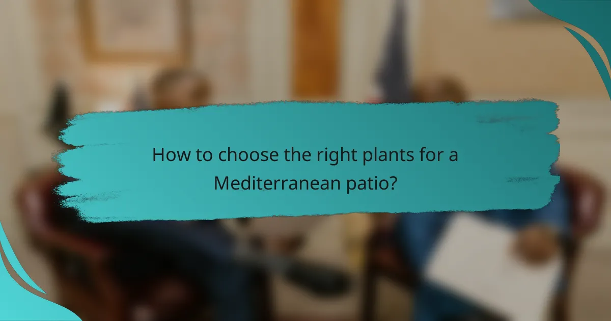 How to choose the right plants for a Mediterranean patio?